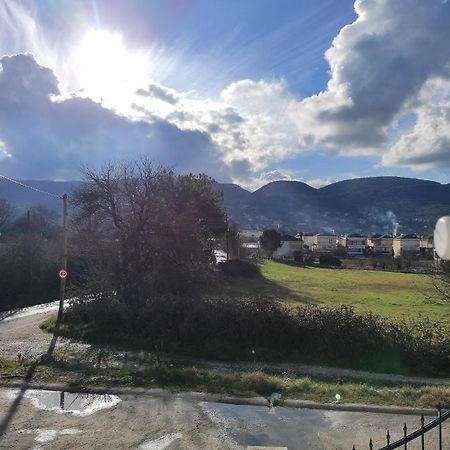 Amaltheia Studio Appartement Ioannina Buitenkant foto